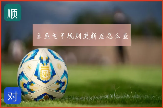 乐鱼电子规则更新后怎么查