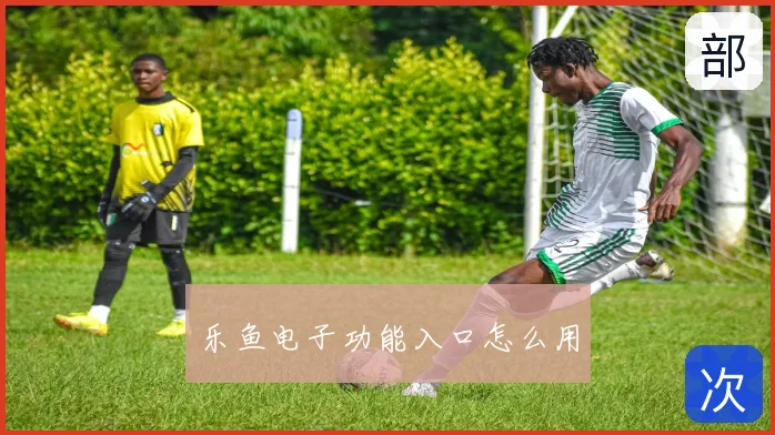 乐鱼电子功能入口怎么用
