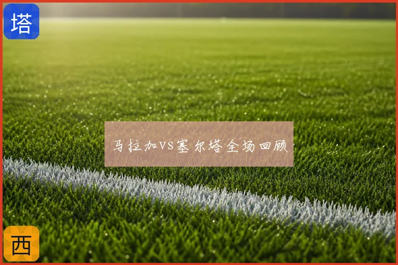 马拉加vs塞尔塔全场回顾